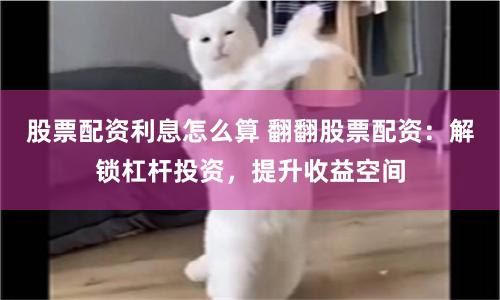 《广东灵菲配资》的崛起与争议：资本狂欢下的冷思考