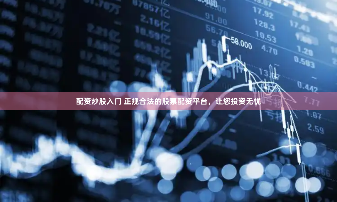 《配查网平台官网》：数据赋能时代的智能导航者